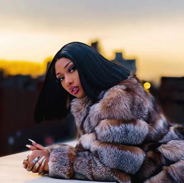 Megan-Thee-Stallion-FB-2.png