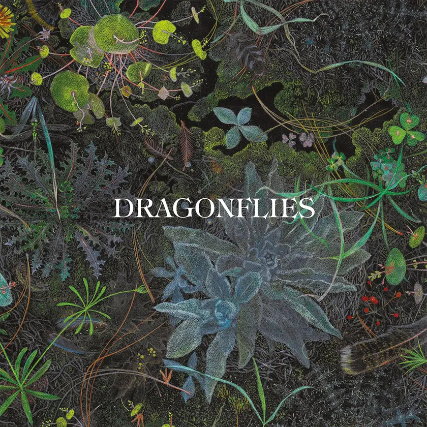 DragonfliesLPColour18.09.26_1200x1200_jpg.jpg