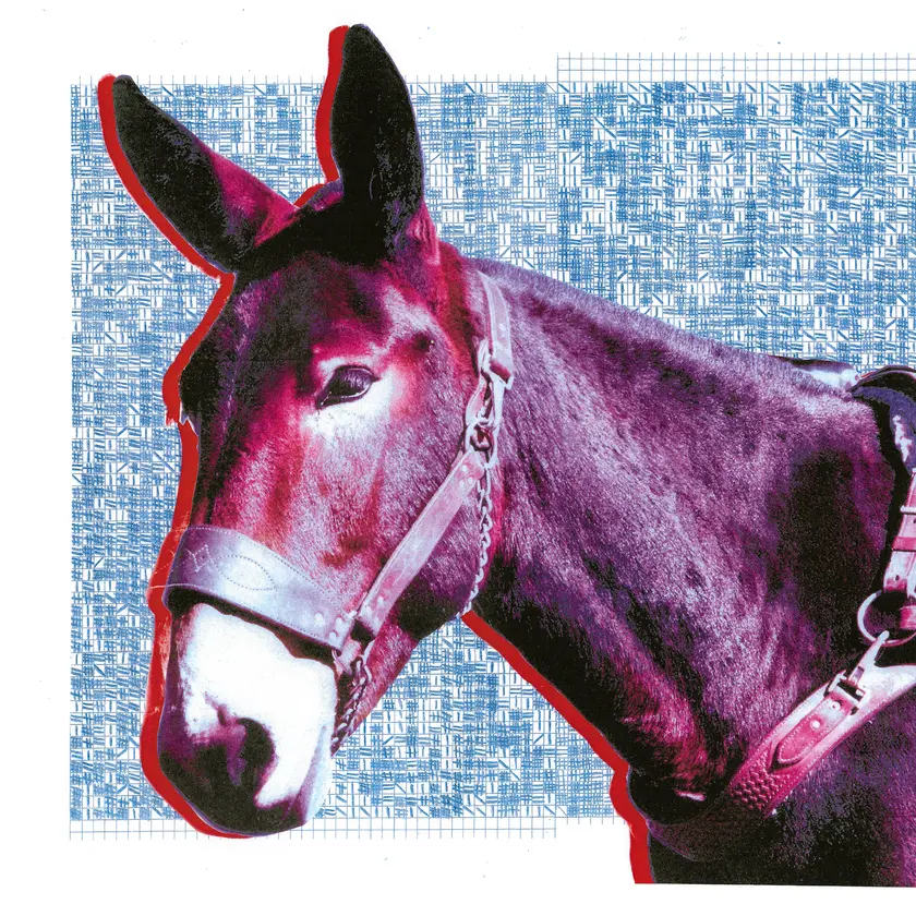 protomartyr-Ultimate-Success-Today.jpg