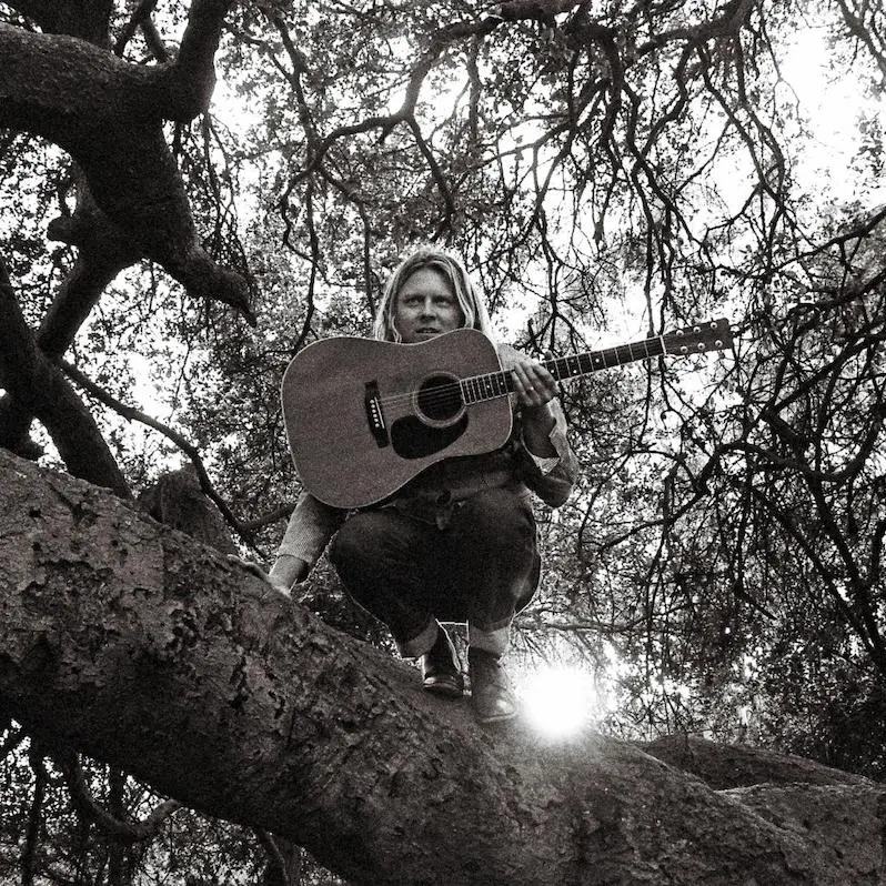 ty-segall-hello-hi.jpg
