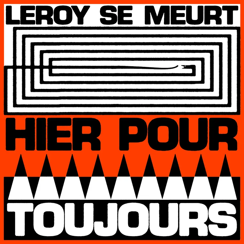 leroy_se_meurt_hier_pour_toujours.jpg