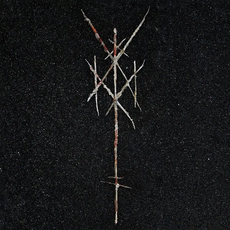 116607-wiegedood-theres-always-blood-at-the-end-of-the-road.jpeg