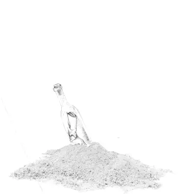 social-experiment-surf.png