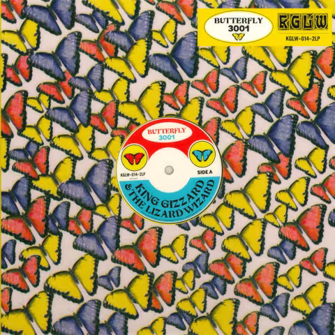 king_gizzard_butterfly_3001.jpg