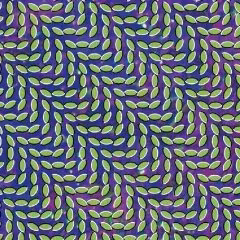 Animal_Collective_-_Merriweather_Post_Pavilion.jpg