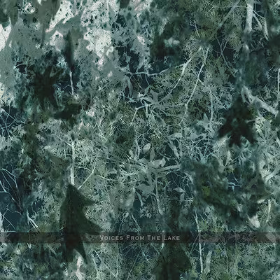 artworks-000016222919-hqvg9i-crop.jpg