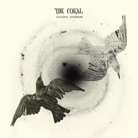 coral-distance-inbetween__1_.jpg