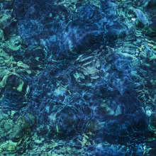 a0232619269_10.jpg
