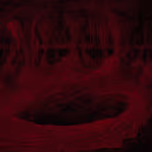 a2177521370_10.jpg