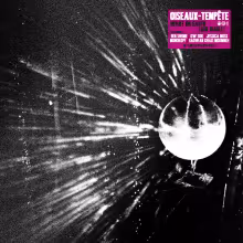 oiseaux-tempete-what-on-earth-que-diable-Cover-Art.jpg
