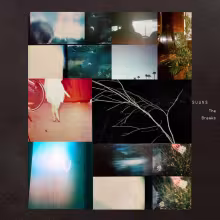 suuns_the_breaks.jpg