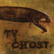 tvghost.jpg