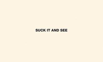 600px-Suckitandsee.jpg