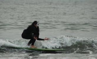 Cum-se-poate-trece-de-la-black-metal-la-surf-rock--Cele-mai-bune-piese-surf-metal.jpg