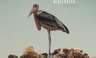 Nihiloxica__Kololi_cover_lores.jpg