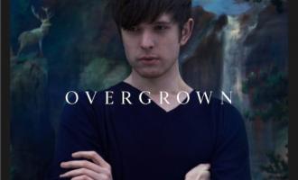 Overgrown-art-2.2013-500x499.jpg