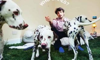 Rex-Orange-County---WHO-CARES-Album.jpeg