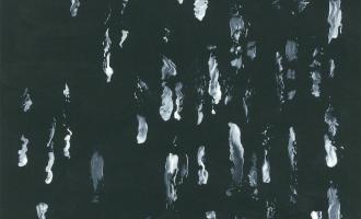 SIGHTINGS-1500x1500_COVER_ART-300DPI_1024x1024.jpg