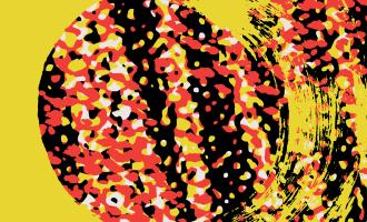 SLCTRS004_-_Joy_Orbison_-_Cover.jpg