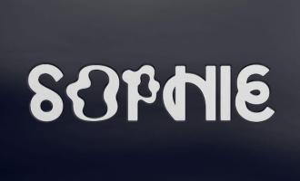 SOPHIEPRODUCT.jpg