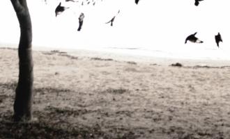 Tallest-Man-Theres-No-Leaving-Now-e1332860096806.jpg