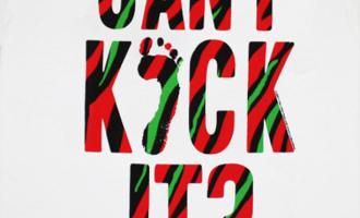 can-i-kick-it.jpg