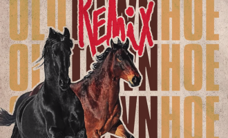 cupcakke-old-town-road-remix-1555534098-640x644.png