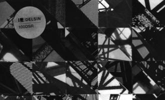 delsin-100.jpg