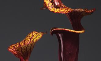fabriclive-93-packshot-xl.jpg