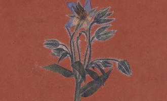 flavien_berger_de_la_friche.jpg