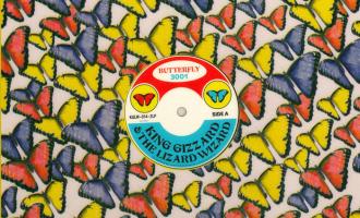 king_gizzard_butterfly_3001.jpg