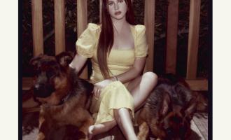 lana-del-rey-blue-banisters-cover-artwork.jpeg